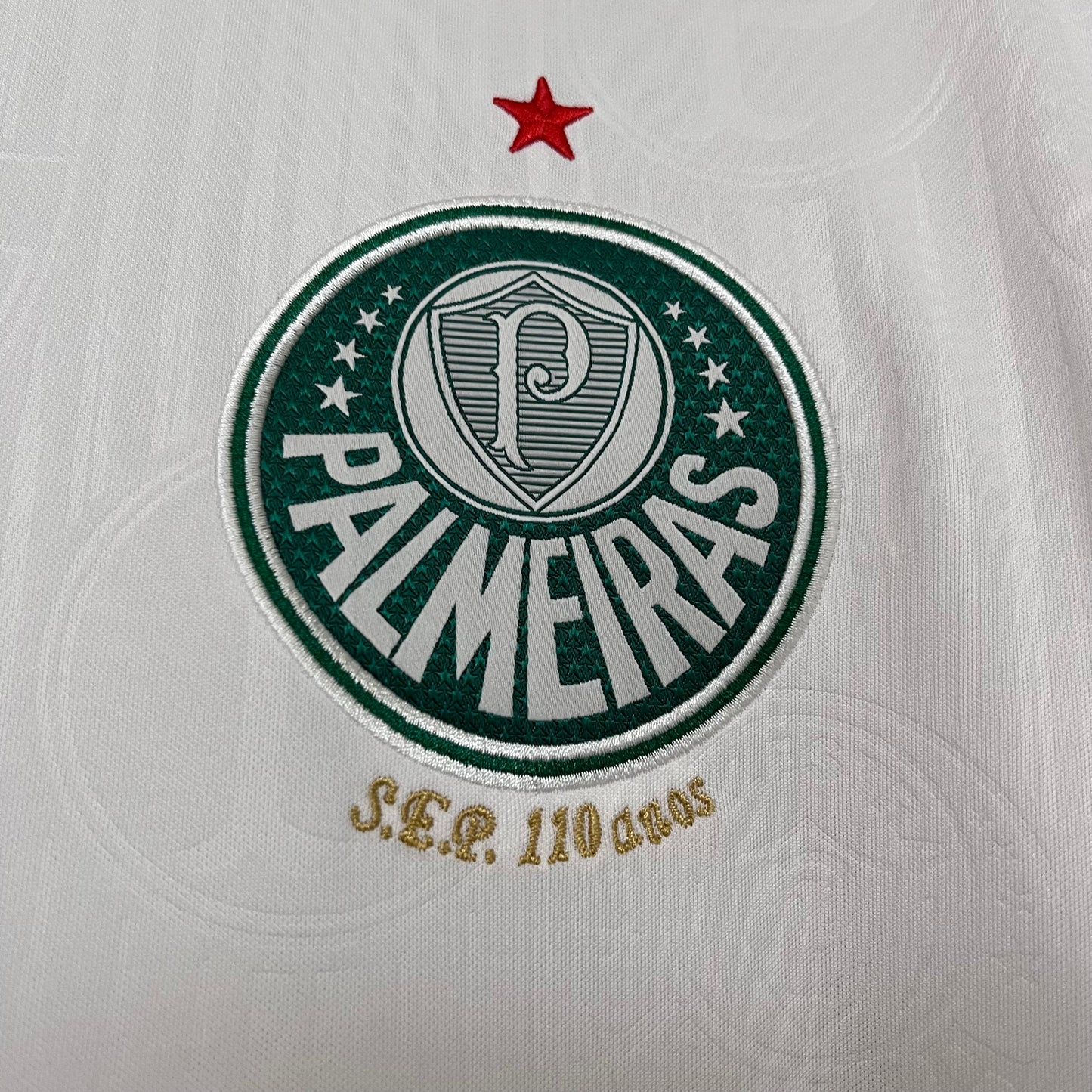 Palmeiras 2024/25 Alternativa