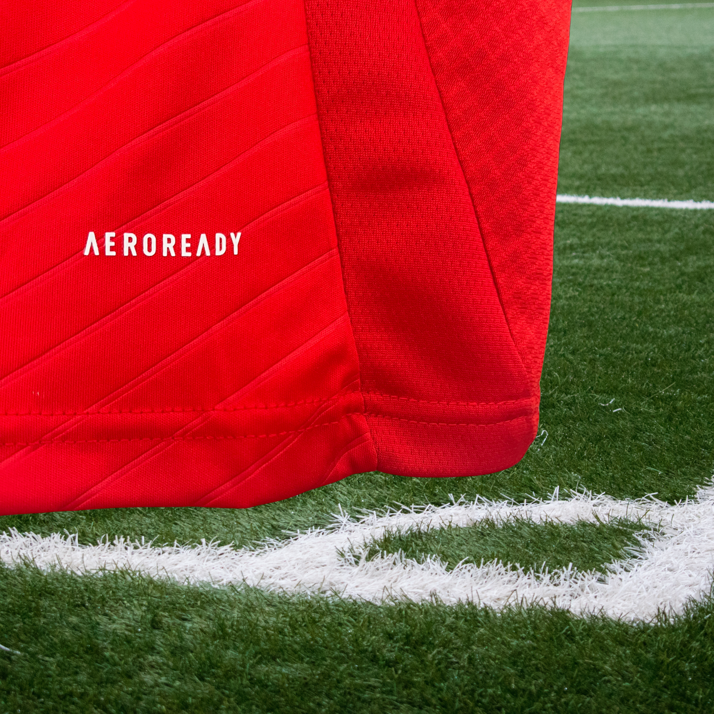 Benfica 2024/25 Principal