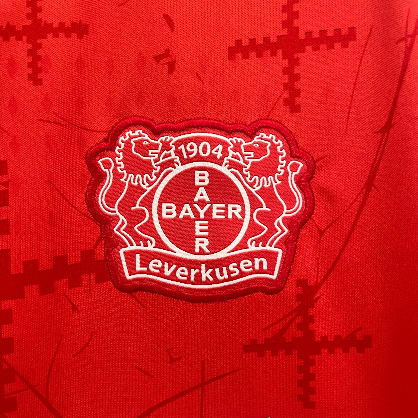 B.Leverkusen 2024/25 Principal