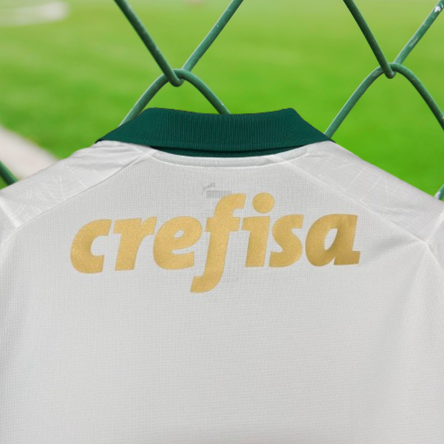 Palmeiras 2024/25 Alternativa