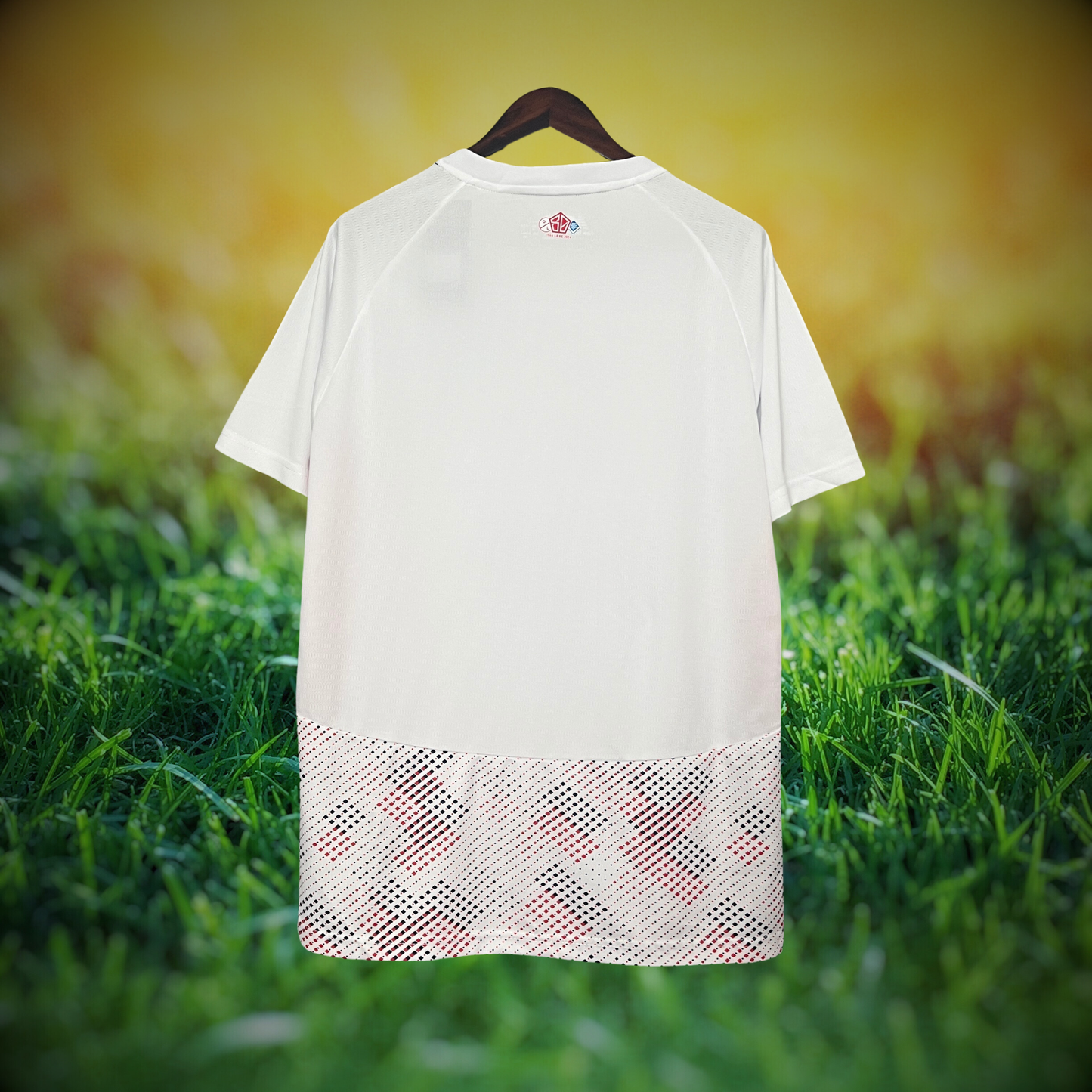 Lille 24/25 Alternativa