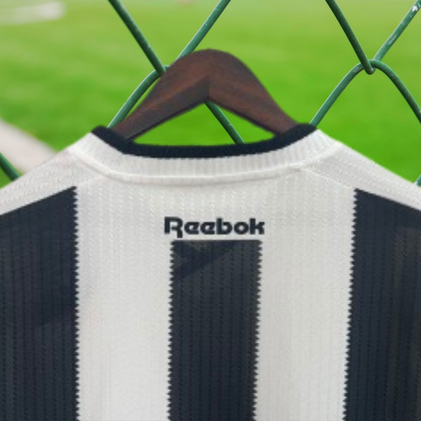 Botafogo 2024/25 Principal