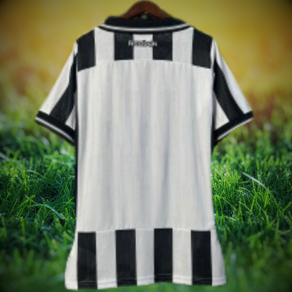 Botafogo 2025/26 Principal