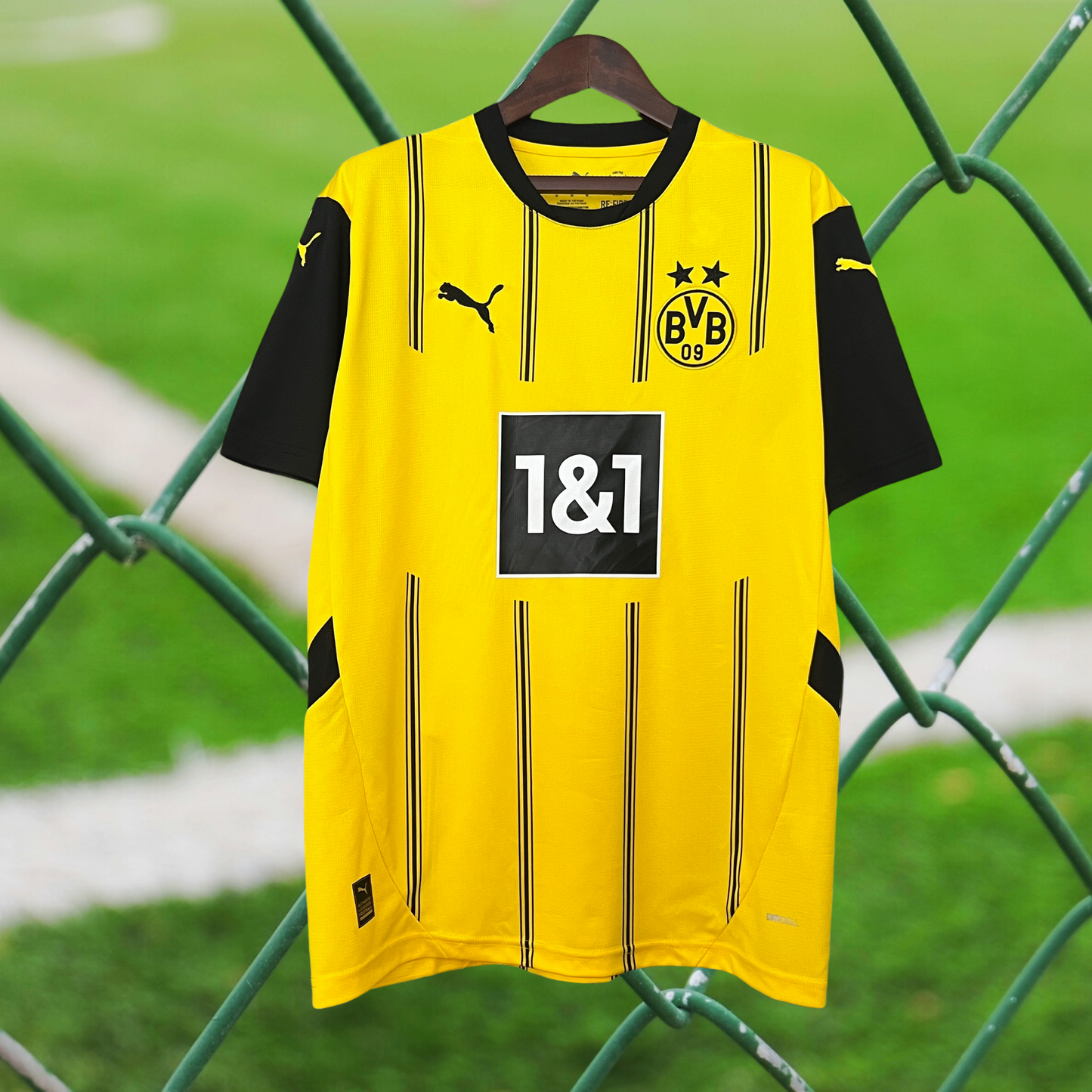 B. Dortmund 24/25 Principal