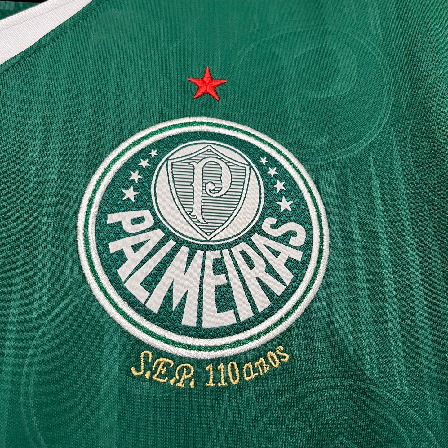 Palmeiras 2024/25 Principal