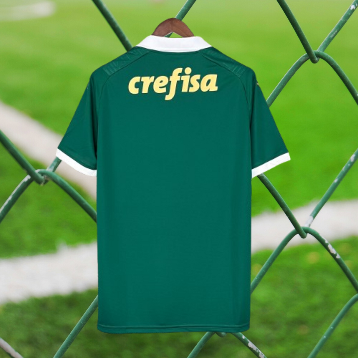 Palmeiras 2024/25 Principal