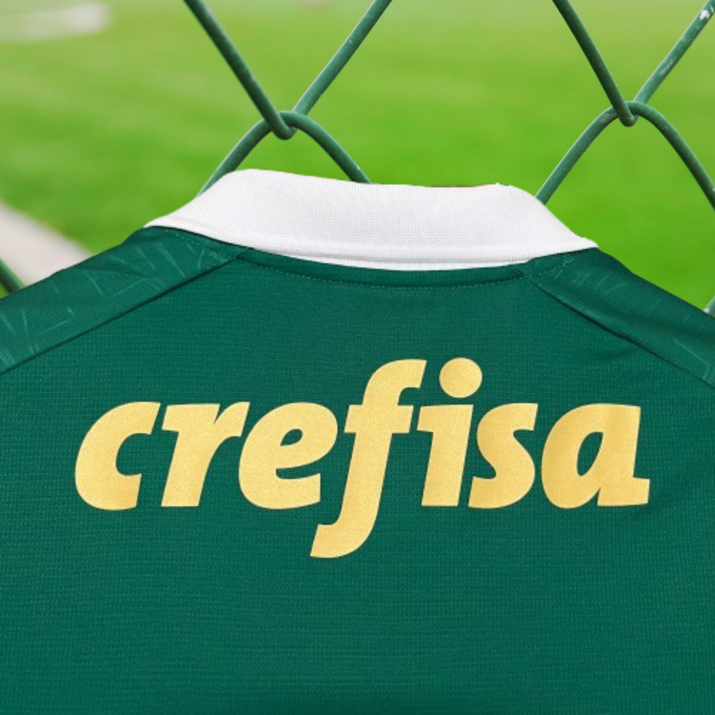 Palmeiras 2024/25 Principal